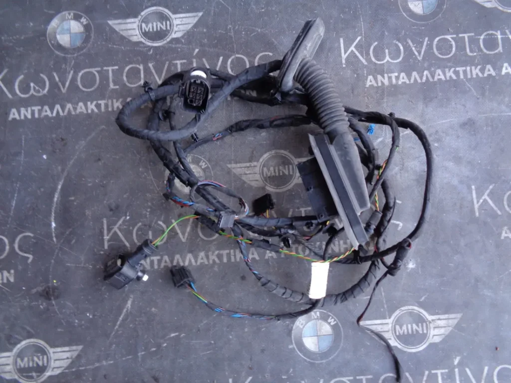 ΚΑΛΩΔΙΩΣΗ ΠΟΡΤΑΣ BMW F10 ΟΔΗΓΟΥ (ΚΩΔ. ΑΝΤΑΛ.: 9273445 )
