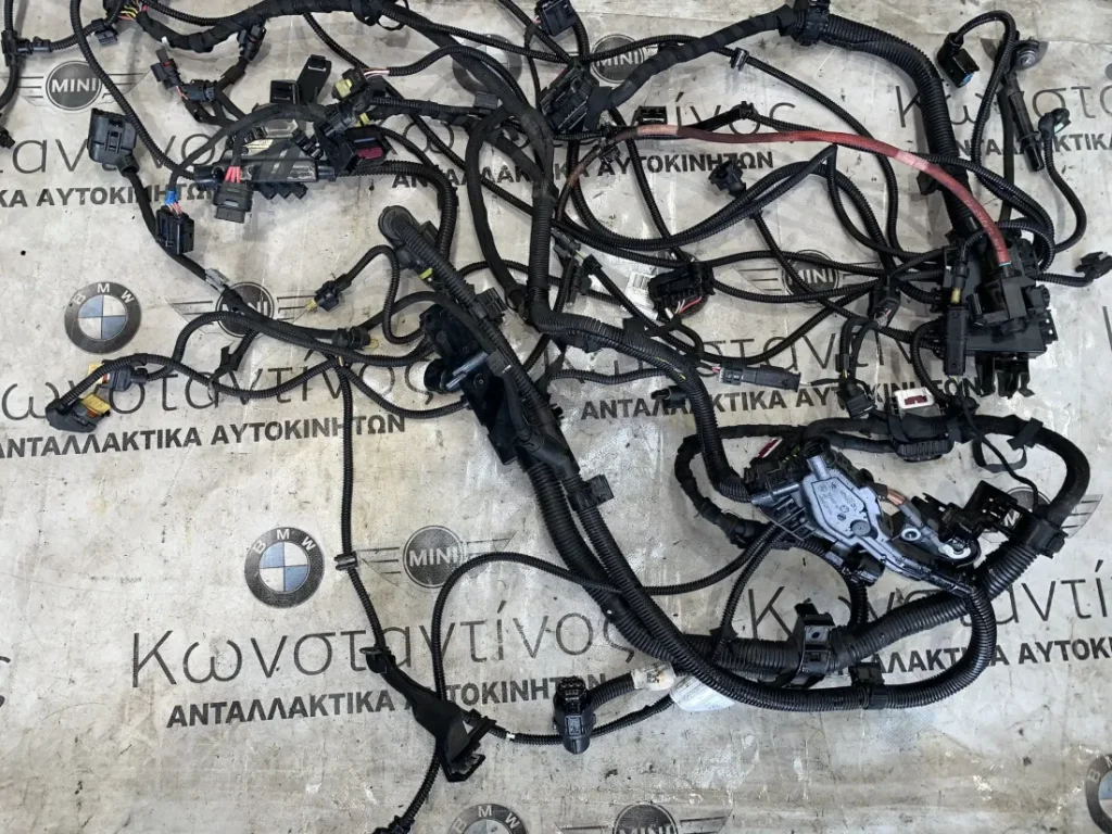 ΚΑΛΩΔΙΩΣΗ ΜΗΧΑΝΗΣ - ΠΛΕΞΟΥΔΑ B48 BMW ΣΕΙΡΑ 3, 4 F31 F32 F33 F36 GC (ΚΩΔ. ΑΝΤΑΛ. 12528635695 - 8636073)