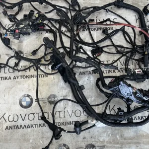 ΚΑΛΩΔΙΩΣΗ ΜΗΧΑΝΗΣ - ΠΛΕΞΟΥΔΑ B48 BMW ΣΕΙΡΑ 3, 4 F31 F32 F33 F36 GC (ΚΩΔ. ΑΝΤΑΛ. 12528635695 - 8636073)