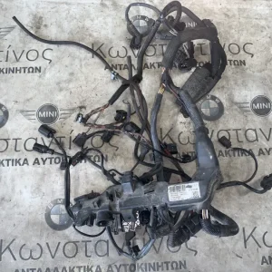 ΠΛΕΞΟΥΔΑ ΚΑΛΩΔΙΩΝ ΚΙΝΗΤΗΡΑ DDE MINI R55 R56 R57 R60 R61 (ΚΩΔ. ΑΝΤΑΛ. 7823706)