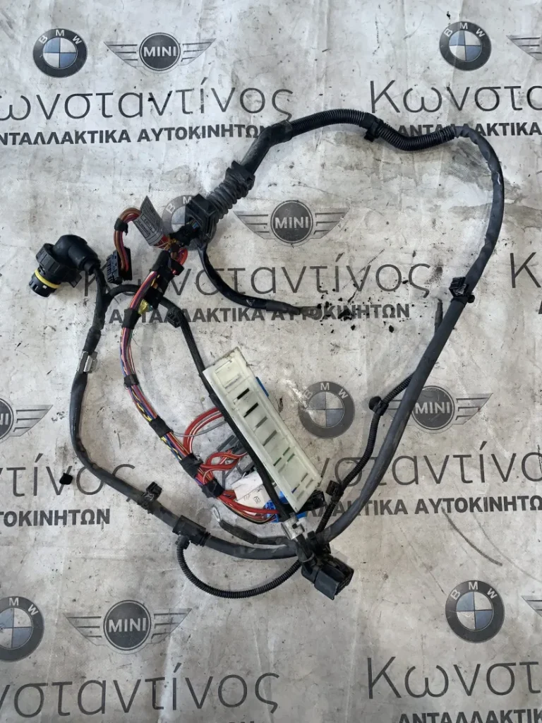 ΚΑΛΩΔΙΑ ΜΗΧΑΝΗΣ BMW X5 E70 X6 E71 (ΚΩΔ. ΑΝΤΑΛ. 7808275)