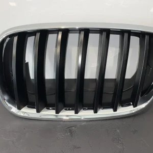 ΕΜΠΡΟΣ ΑΡΙΣΤΕΡΗ ΓΡΙΛΙΑ - ΚΑΡΔΙΑ ΜΑΣΚΑΣ BMW X5 E70 X6 (51137171395)