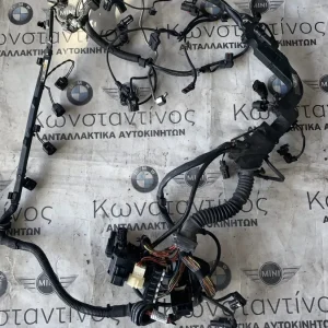 ΚΑΛΩΔΙΩΣΗ ΜΗΧΑΝΗΣ BMW ΣΕΙΡΑ 5, 6, 7 F10 F11 F07 GT F12 F13 F06 GC F01 F02 (ΚΩΔ. ΑΝΤΑΛ. 12518511742)