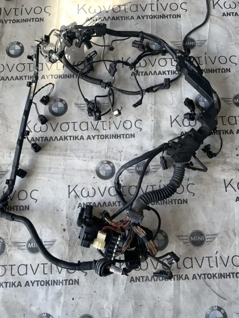 ΚΑΛΩΔΙΩΣΗ ΜΗΧΑΝΗΣ BMW ΣΕΙΡΑ 5, 6, 7 F10 F11 F07 GT F12 F13 F06 GC F01 F02 (ΚΩΔ. ΑΝΤΑΛ. 12518511742)