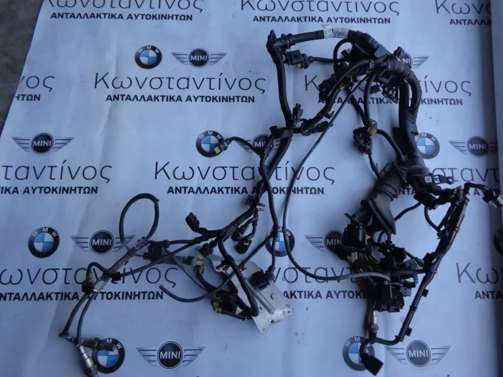 ΚΑΛΩΔΙΩΣΗ ΜΗΧΑΝΗΣ BMW X1 F48 LCI-X2 F39 B47B ΜΕ ΑΥΤΟΜΑΤΟ ΣΑΣΜΑΝ (ΚΩΔ. ΑΝΤΑΛ.: 7390317 )