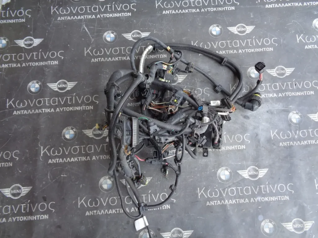 ΚΑΛΩΔΙΩΣΕΙΣ ΚΙΝΗΤΗΡΑ BMW F30-F31 N20B20 ΣΕΙΡΑ 3