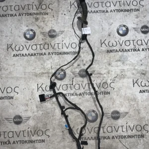 ΚΑΛΩΔΙΩΣΗ ΠΟΡΤΑΣ ΠΙΣΩ ΑΡΙΣΤΕΡΑ BMW ΣΕΙΡΑ 1 F40 (ΚΩΔ. ΑΝΤΑΛ. 8714477)