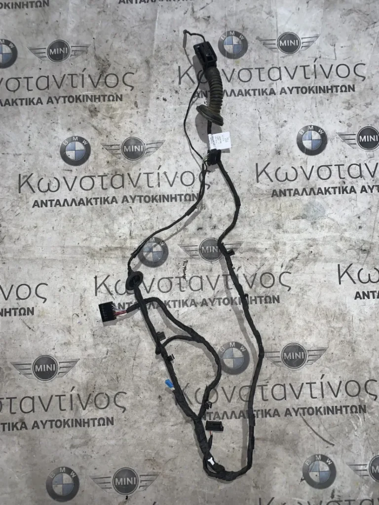 ΚΑΛΩΔΙΩΣΗ ΠΟΡΤΑΣ ΠΙΣΩ ΑΡΙΣΤΕΡΑ BMW ΣΕΙΡΑ 1 F40 (ΚΩΔ. ΑΝΤΑΛ. 8714477)