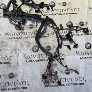 ΚΑΛΩΔΙΩΣΗ ΜΗΧΑΝΗΣ BMW ΣΕΙΡΑ 3, 4 F34 GRAN TURISMO F36 GRAN COUPE (ΚΩΔ. ΑΝΤΑΛ. 12518514567)