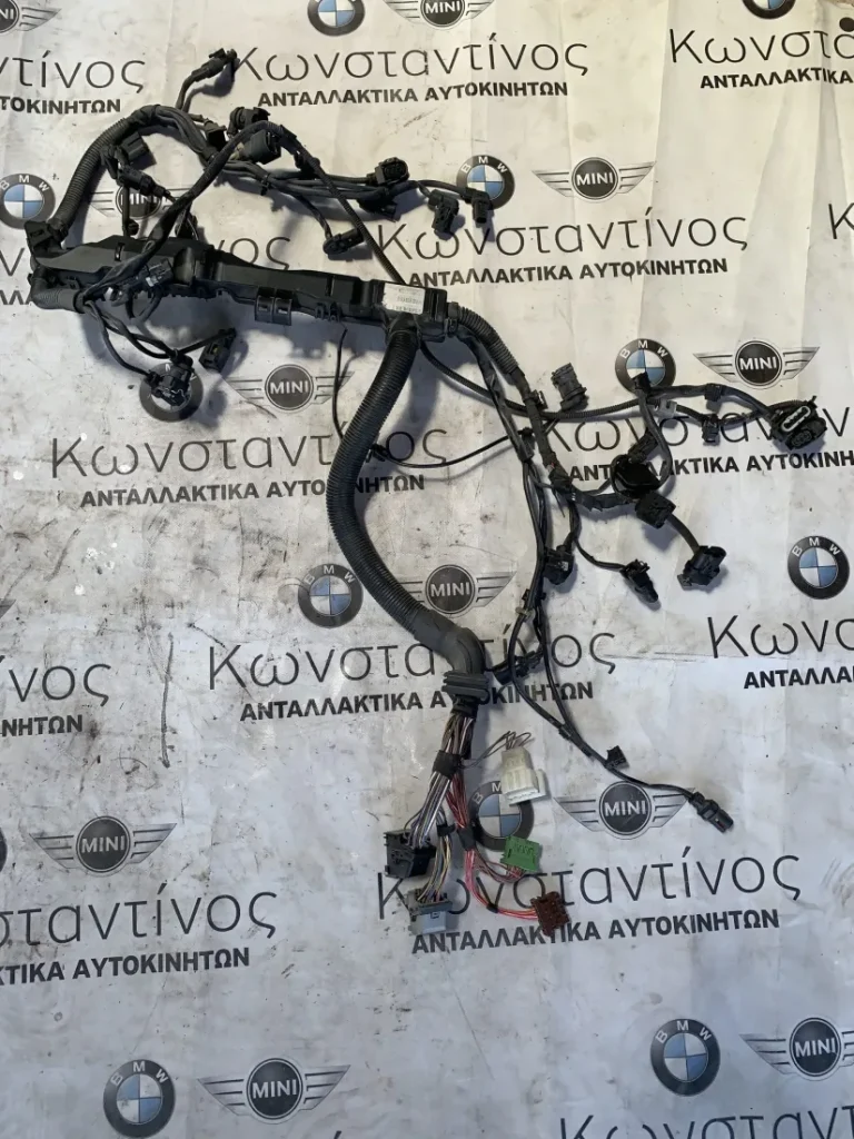 ΚΑΛΩΔΙΩΣΗ ΜΗΧΑΝΗΣ BMW ΣΕΙΡΑ 3, 4 F34 GRAN TURISMO F36 GRAN COUPE (ΚΩΔ. ΑΝΤΑΛ. 12518514567)