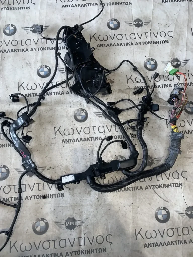 ΚΑΛΩΔΙΩΣΗ ΜΗΧΑΝΗΣ - ΠΛΕΞΟΥΔΑ BMW X5 E70 X6 E71 (ΚΩΔ. ΑΝΤΑΛ. 12517809178)
